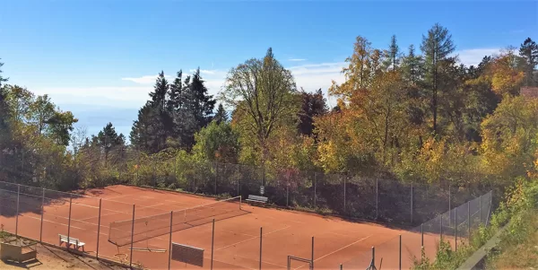 vue automnale