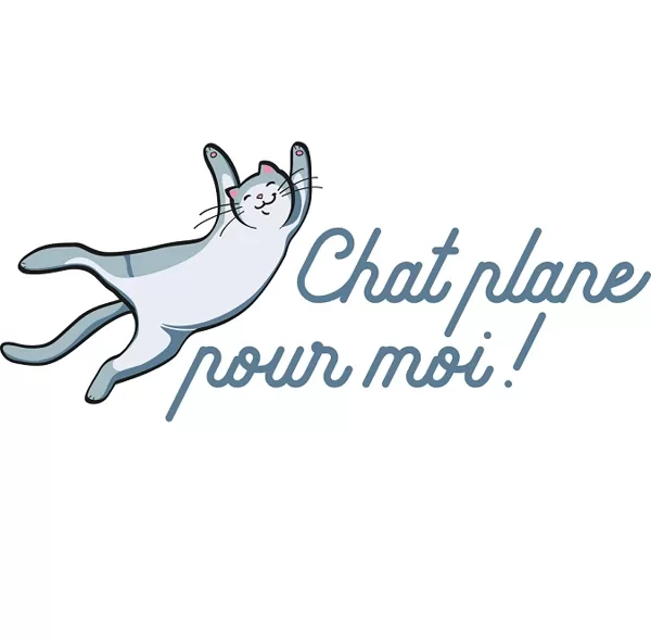 Chat plane pour moi - Comportementaliste chat